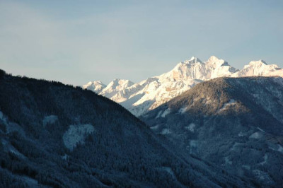 stefanitag_001x.jpg
