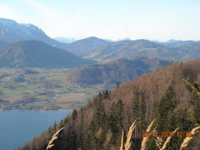 DSCN4435.jpg