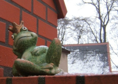 Froschkonig.JPG