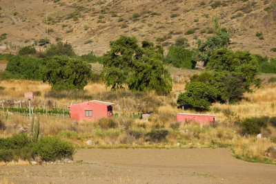 0177_Argentinien_2009_Bc.jpg