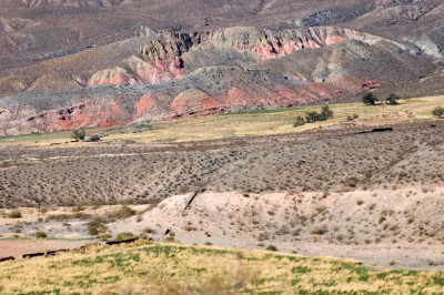 0201_Argentinien_2009_Bc.jpg