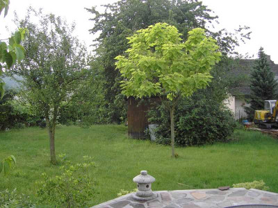 PICT0037-2.jpg