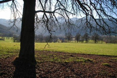 obstbaeume_09_ende_04.jpg