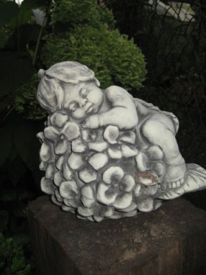 KindHortensie.jpg