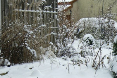 Silvester_2009_1.jpg