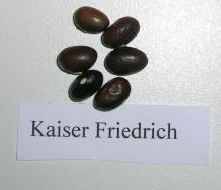 Kaiser_Friedrich.jpg