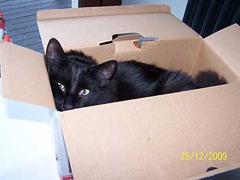 jasper5.jpg