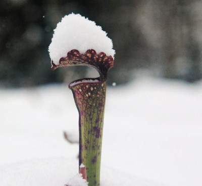 02._01._2010_044.jpg