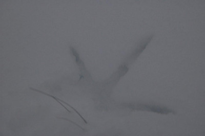 02._01._2010_012.jpg