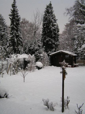 schneeklein.JPG