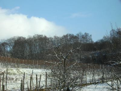 ersterSchnee2010.jpg