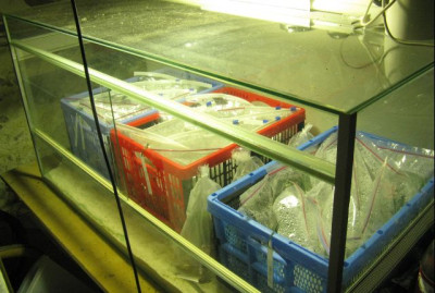 steckis_terrarium.jpg