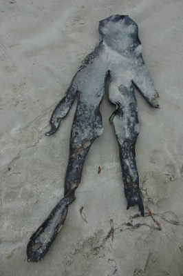 Strandmonster.jpg