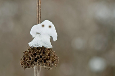 Schneegespenst-Jan0510.jpg