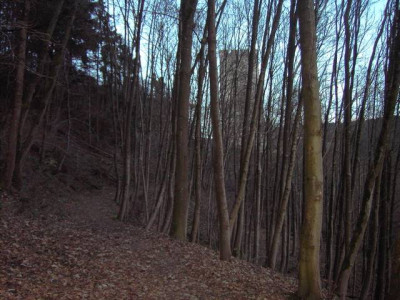 PICT3864.JPG