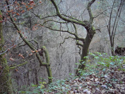 PICT3869-2.JPG