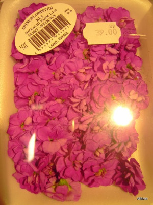 PICT4094-1.JPG
