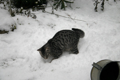 Jan.0610.jpg