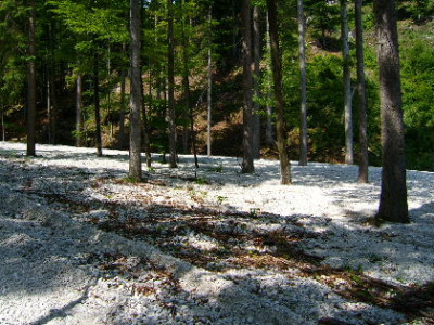DSCF6477.JPG
