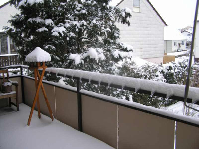 schnee090110.jpg