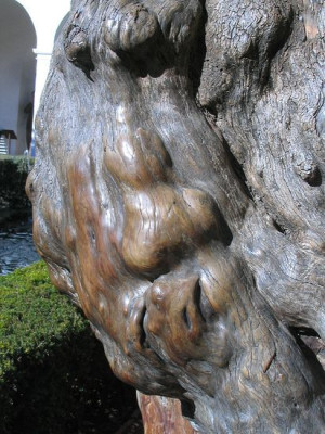 Generalife.jpg