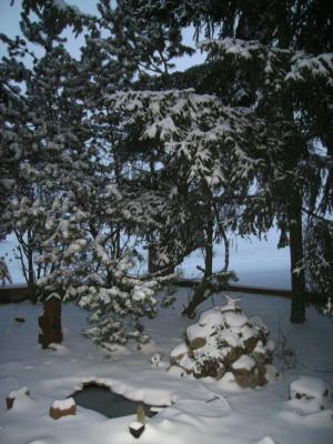 Schneevorgarten.jpg
