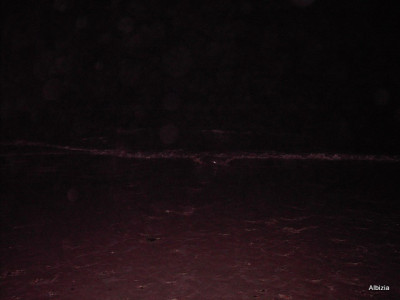 PICT4051-2.JPG