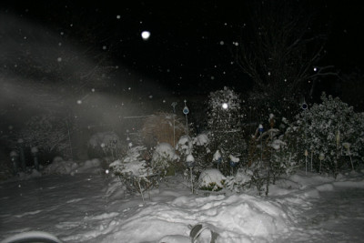 Winter0410.jpg