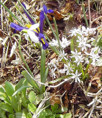 unbekannt_20050323.jpg