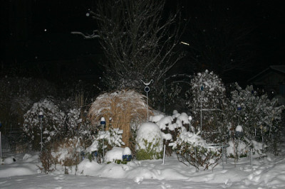 Winter1010.jpg