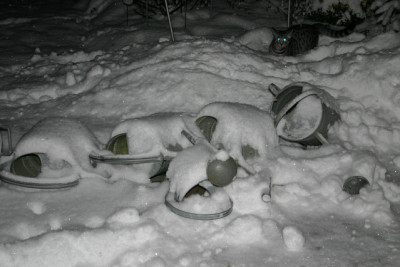 Winter0210.jpg