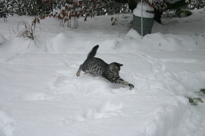 Jan.2310.jpg
