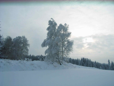baeumerauhreif104.jpg