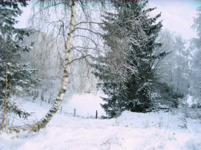 jan102.jpg