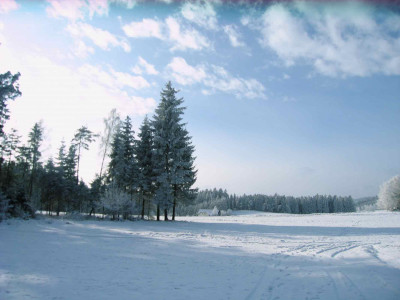 jan104.jpg
