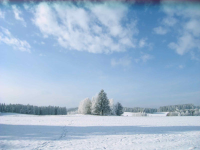 jan105.jpg