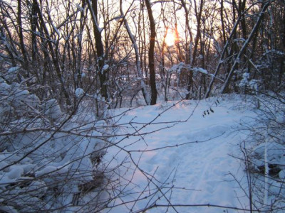 DSCF6504.JPG