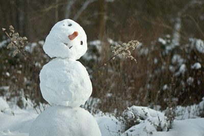 Schneemann-Boga-Jan1310.jpg