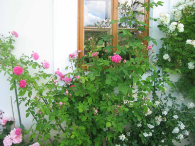 delagriff08.jpg