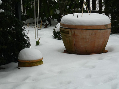w1.jpg