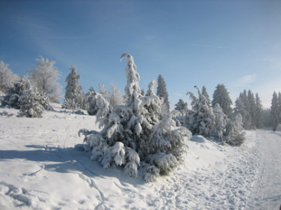 Januar_101.jpg