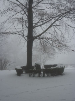 Winterreise_2_fars_2010.jpg