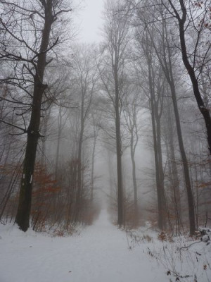 Winterreise_3_fars_2010.jpg