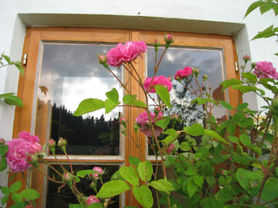 delagrifffenster5.jpg