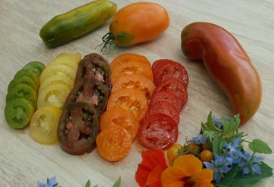 Bunte_Tomatchenscheiben.jpg