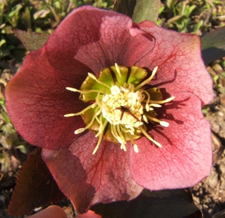 DSCF5825.JPG