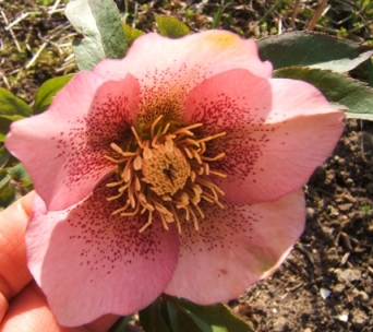 DSCF5829.JPG