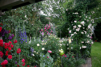 Gartenansicht5007a.jpg