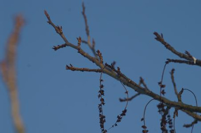 PICT0163-k.JPG