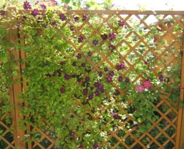 EV_10-6-09.JPG